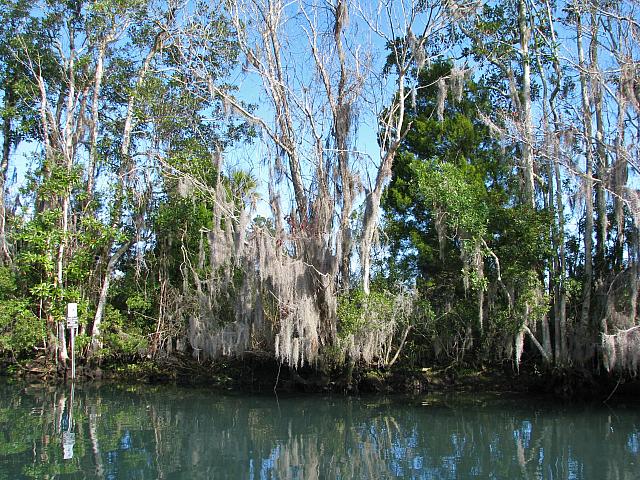 201402Carib 038