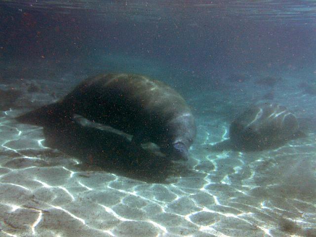 PICT0246