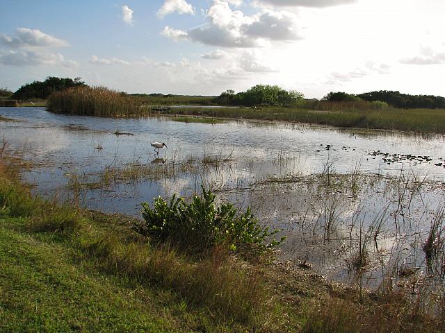 201402Carib 173
