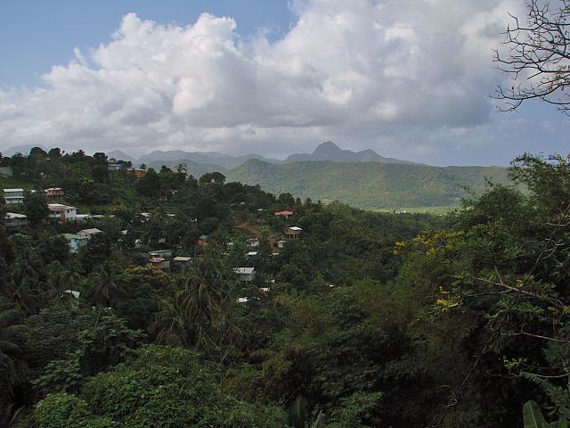 201402Carib 845