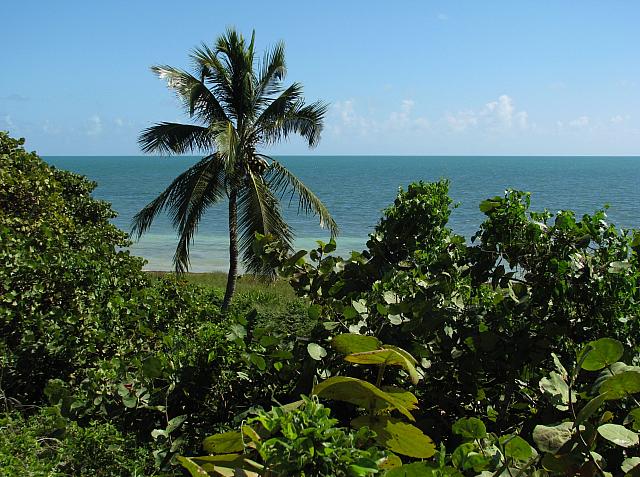 201402Carib 270