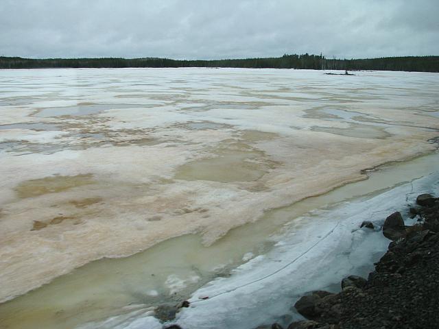 201404 Canada 335