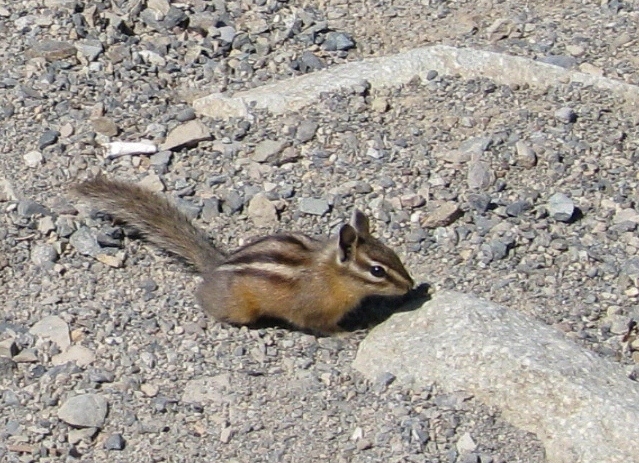 201408 Crystal Mtn 033