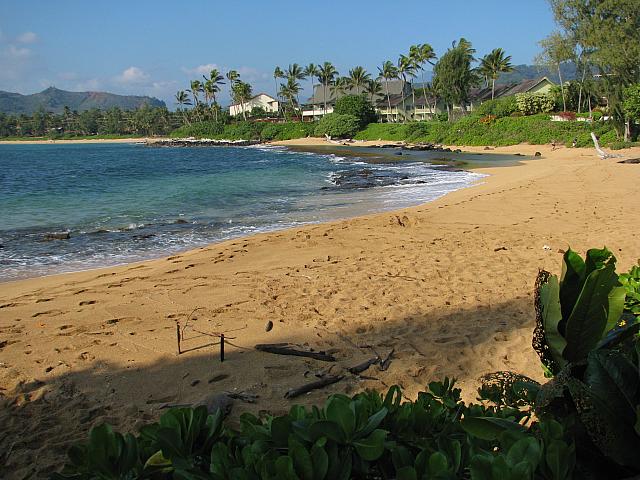 201501 Hawaii 016