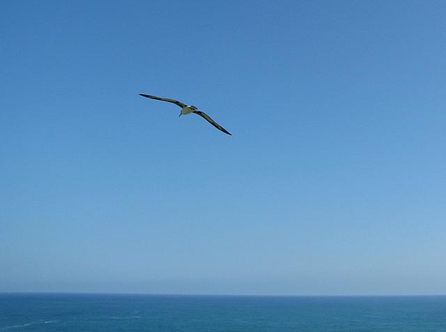 201501 Hawaii 035