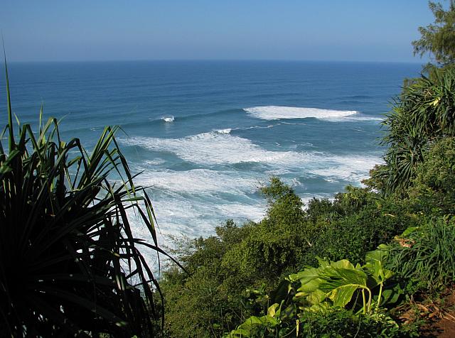 201501 Hawaii 079