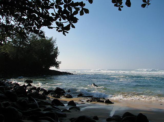 201501 Hawaii 085
