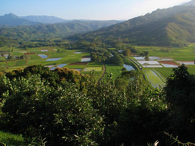 201501 Hawaii 103