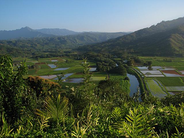 201501 Hawaii 105