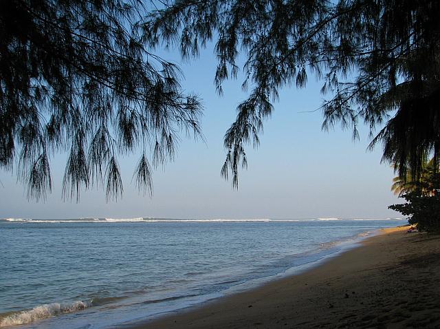 201501 Hawaii 111