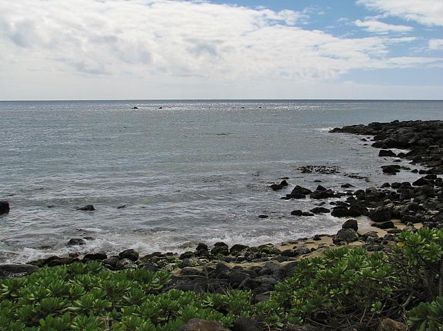 201501 Hawaii 219