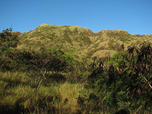201501 Hawaii 505