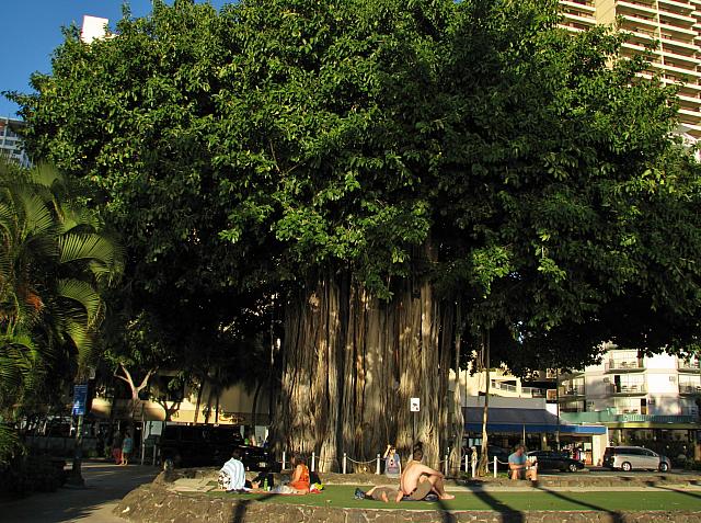 201501 Hawaii 680