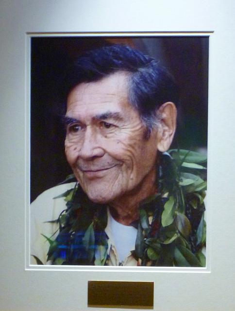 201501 Hawaii 954