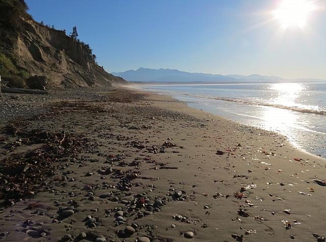 201509OlympicPeninsula 133