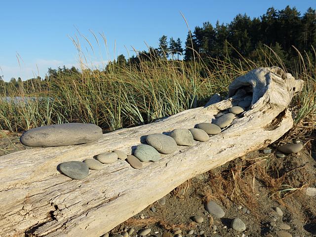 201509OlympicPeninsula 145