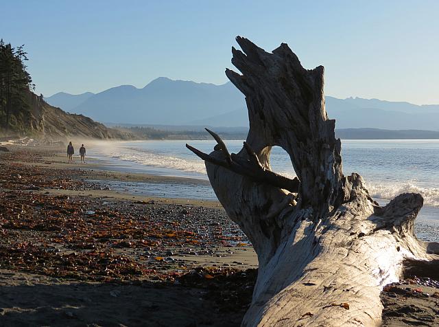 201509OlympicPeninsula 156