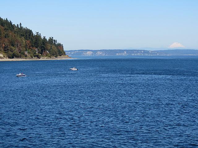 201509OlympicPeninsula 178