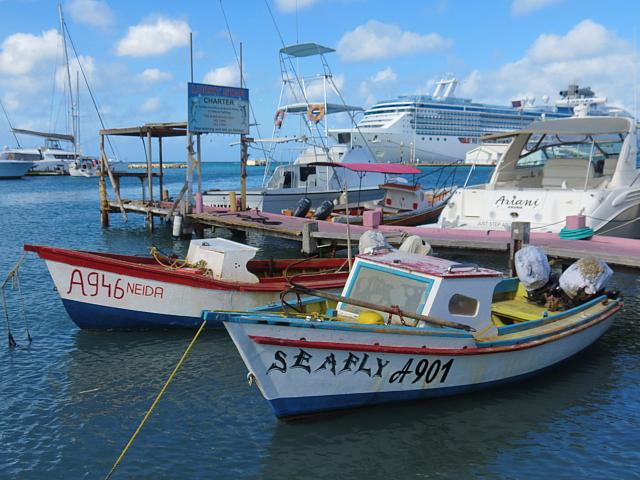 201511 Trip 265