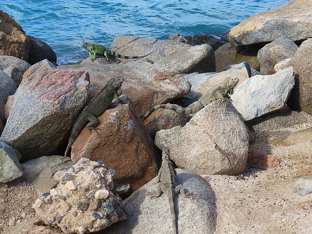 201511 Trip 275