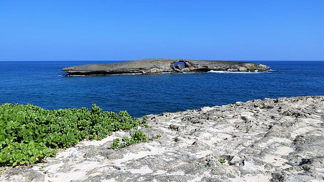 IMG 4061