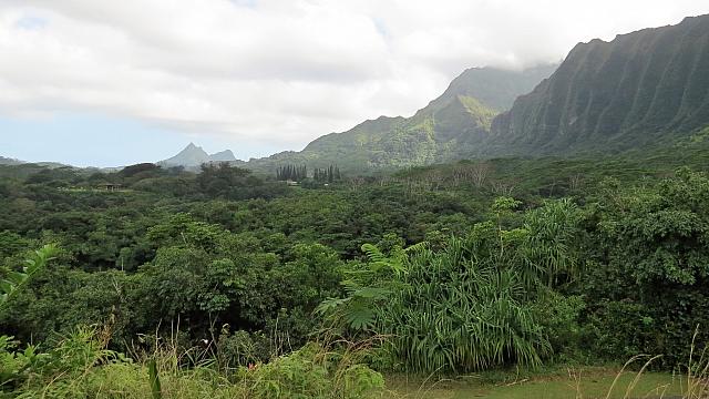 IMG 4137