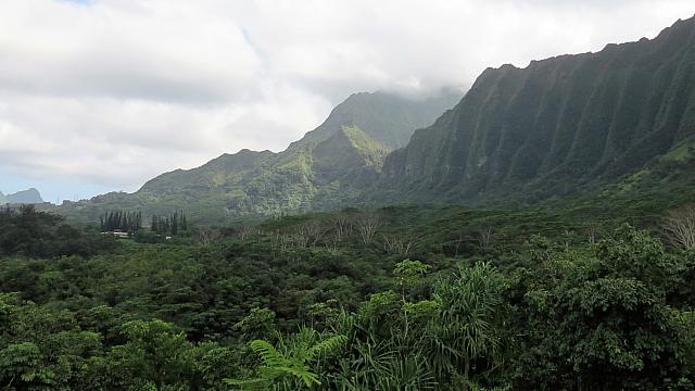IMG 4138