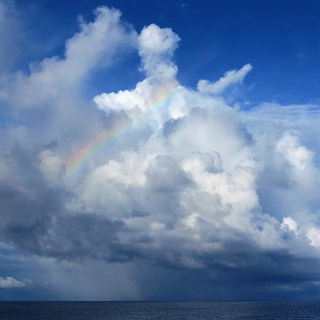 IMG 5125