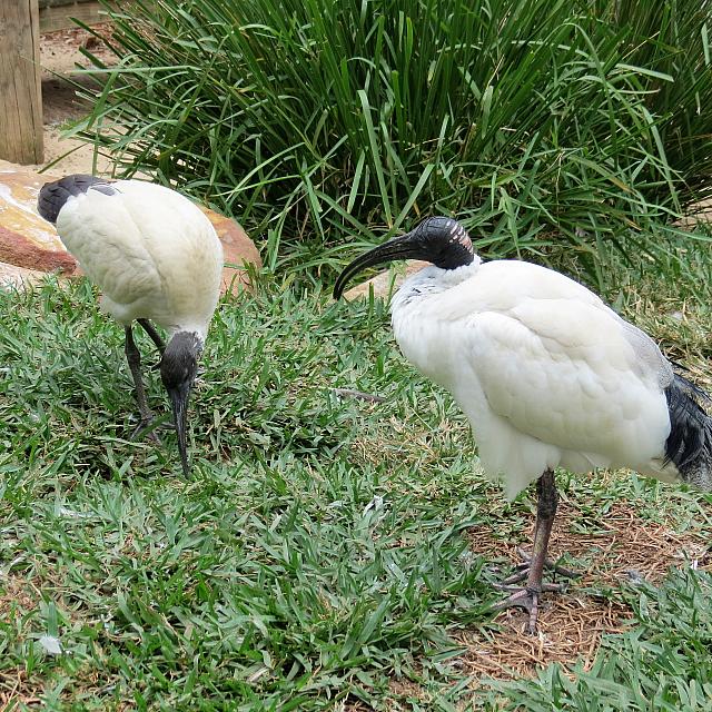 IMG 4759