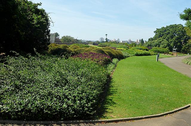P1090937 (2)