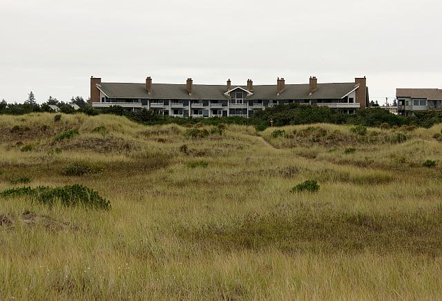 IMG 6020