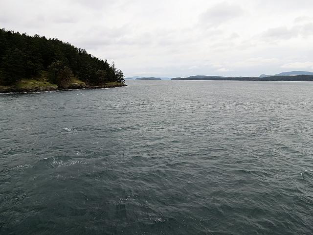 IMG 6279
