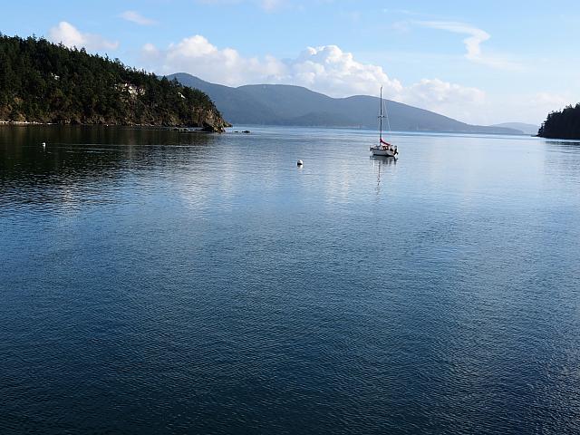 IMG 6321