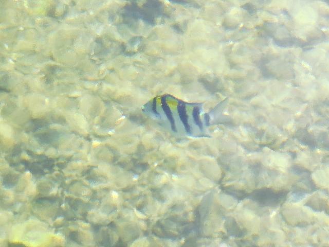 IMG 6984 (2)