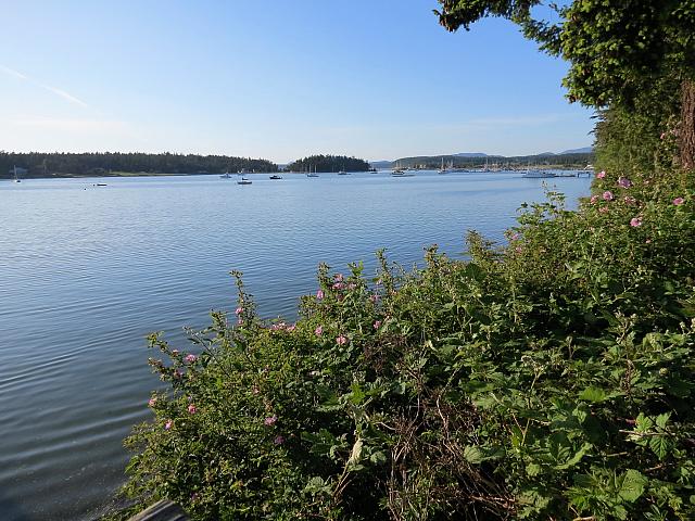 IMG 7391