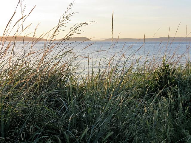 IMG 7396