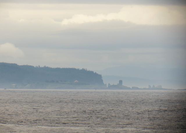 IMG 7990 (2)