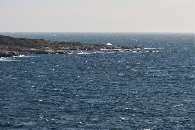 IMG 9817
