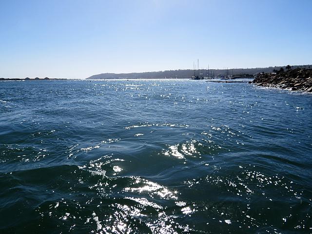 IMG 0454