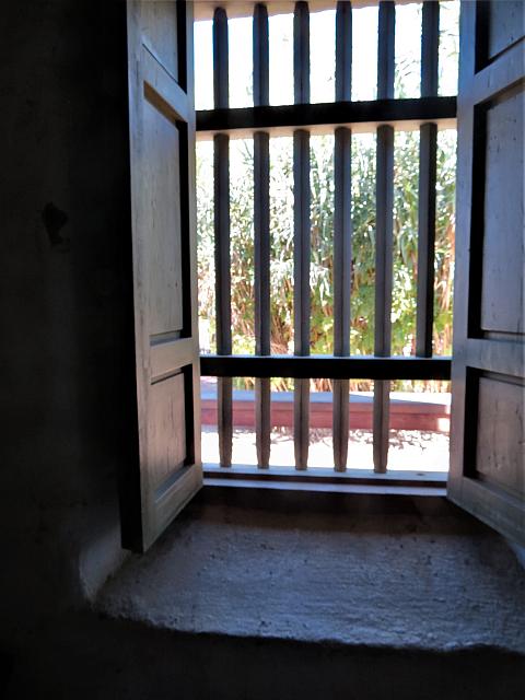 IMG 0534