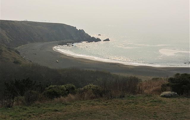 IMG 3299