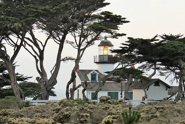 IMG 3490