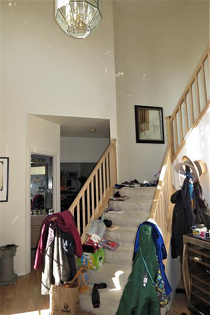 IMG 3113