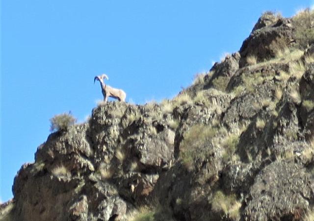 IMG 7453