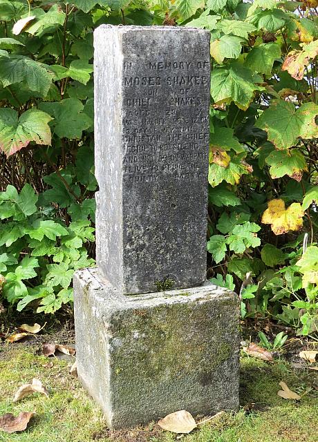 IMG 7917