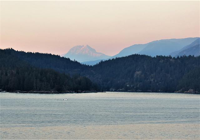 IMG 8255 (2)