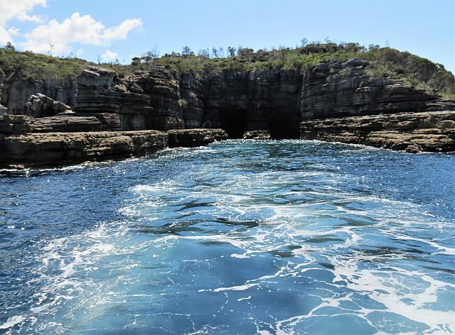 IMG 8801