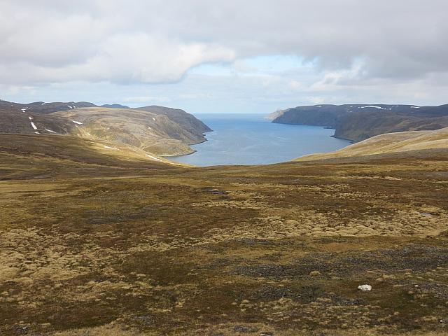 IMG 9540
