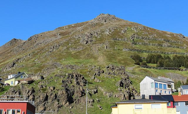 IMG 9631