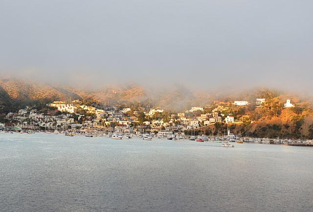 IMG 0114